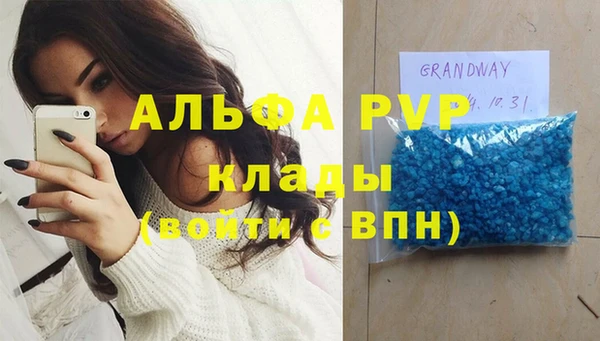 гашик Бородино