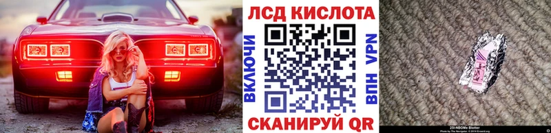 Наркотические марки 1,5мг  как найти наркотики  Петропавловск-Камчатский 